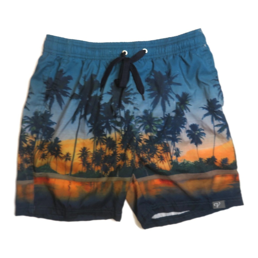 Palm Tree Sunset Print Mens Swim‎ Trunks Shorts Medium Lined Beach V Logo